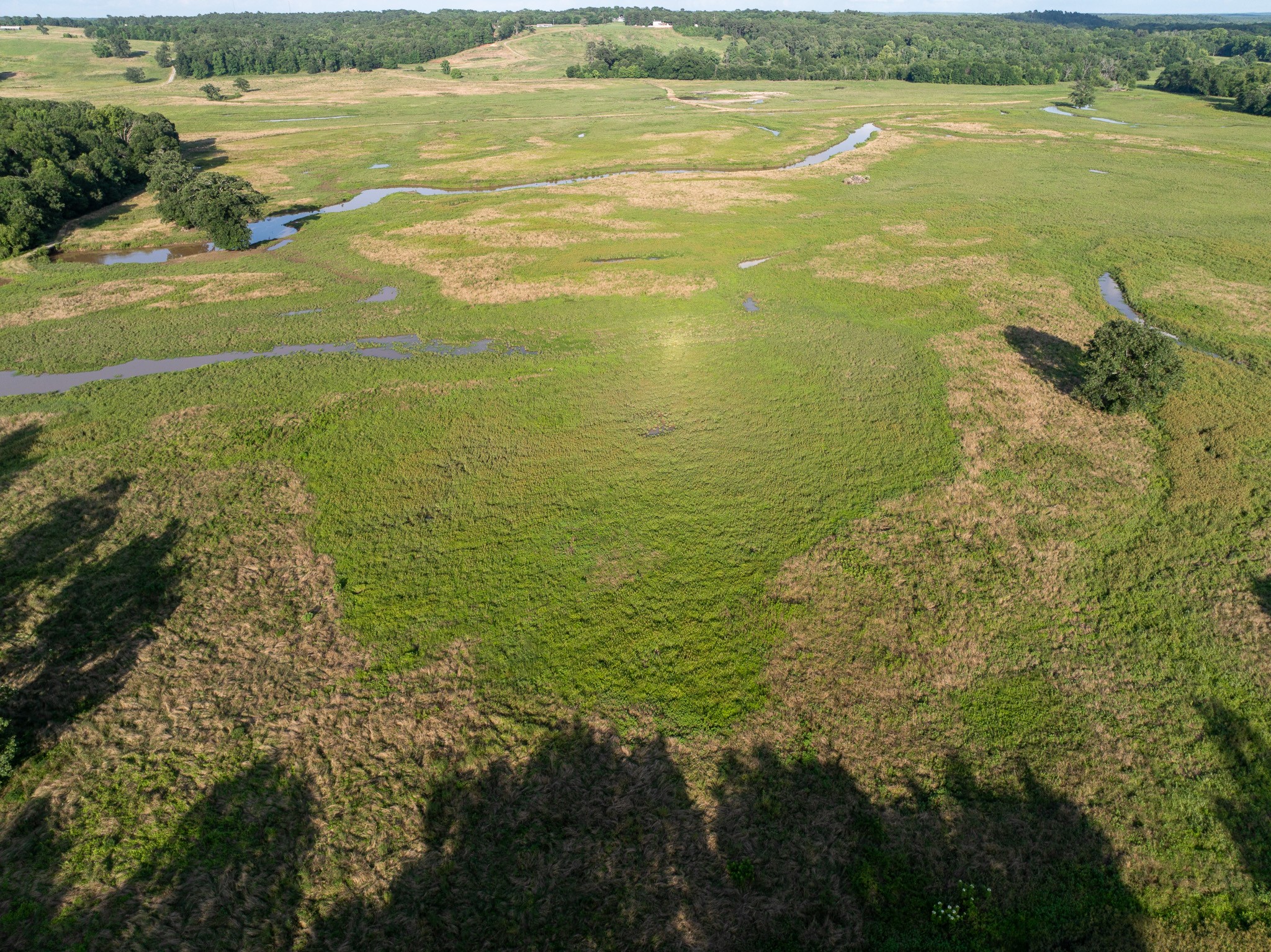 000 Highway 7 Property Photo 14