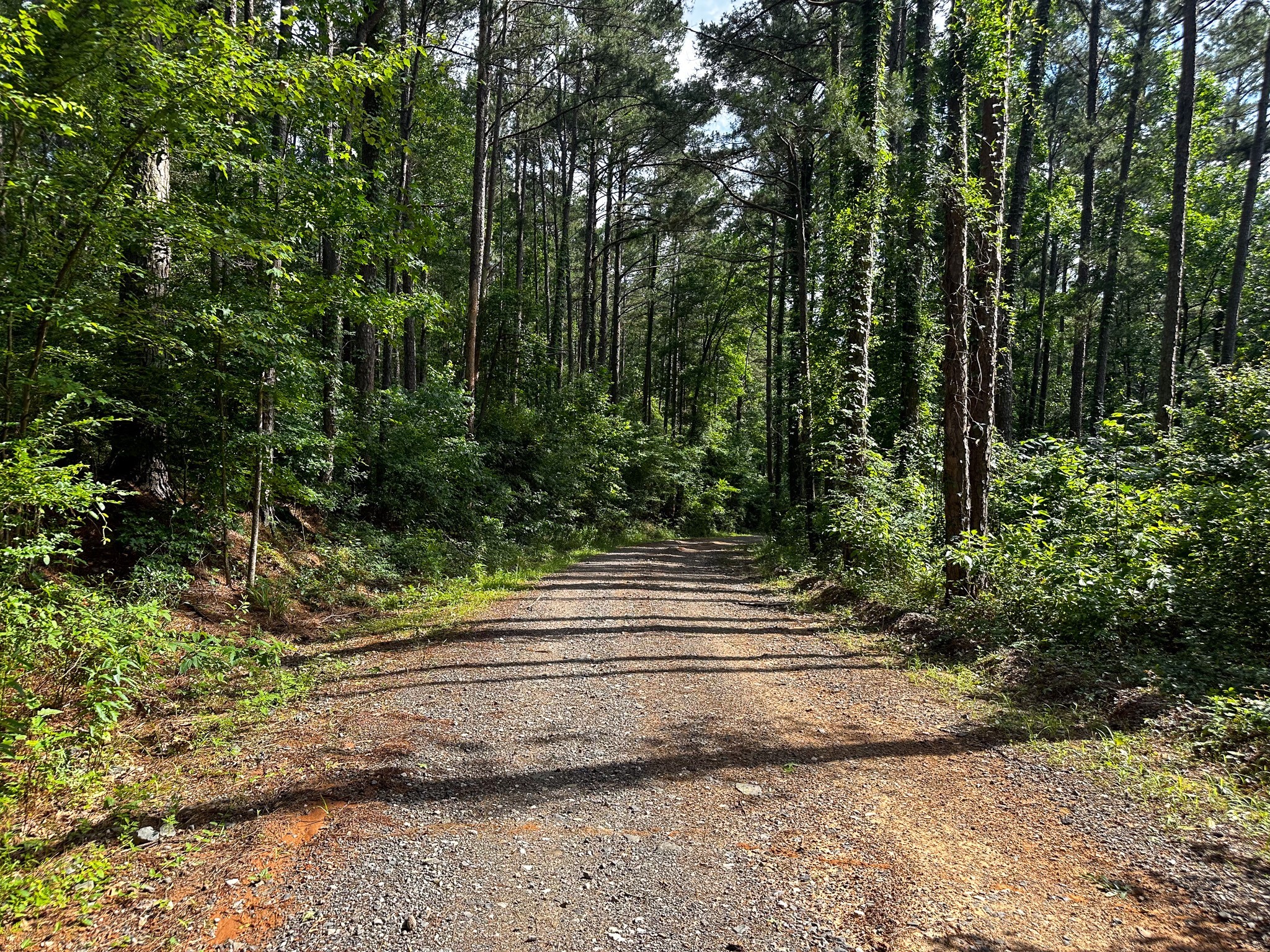 000 Highway 7 Property Photo 19