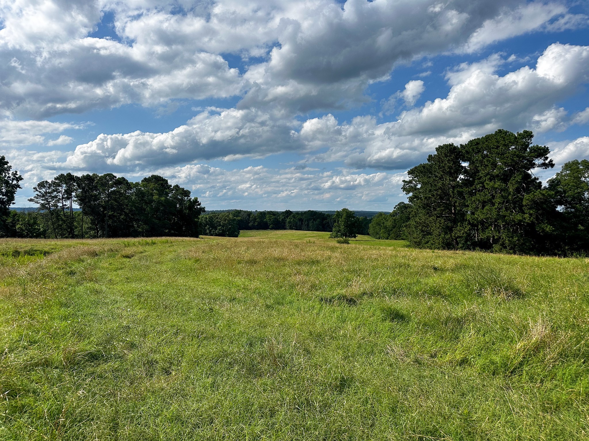 000 Highway 7 Property Photo 22