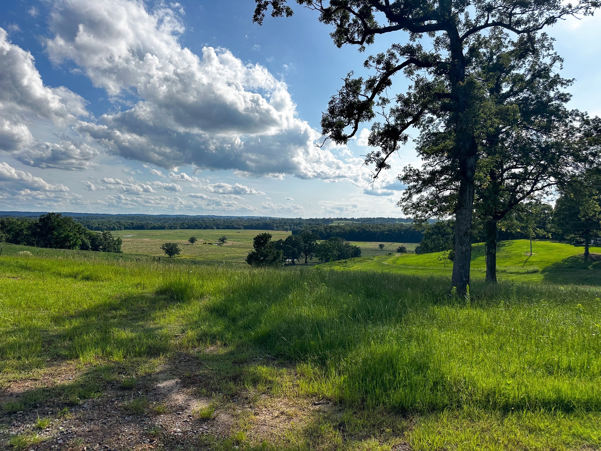 000 Highway 7 Property Photo 26