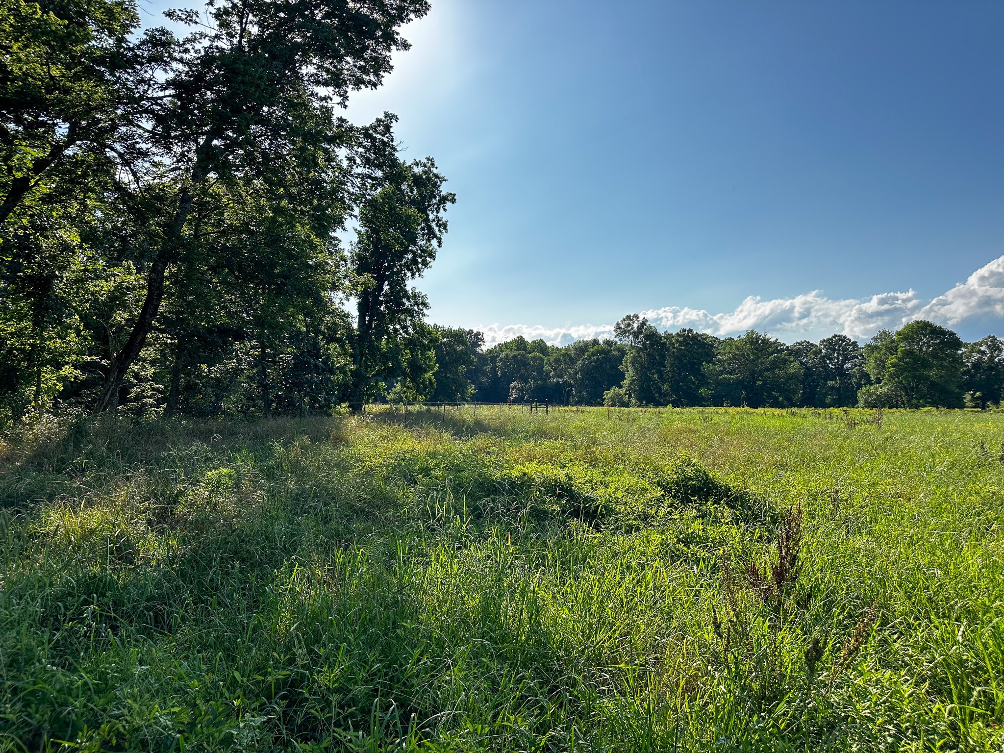 000 Highway 7 Property Photo 29