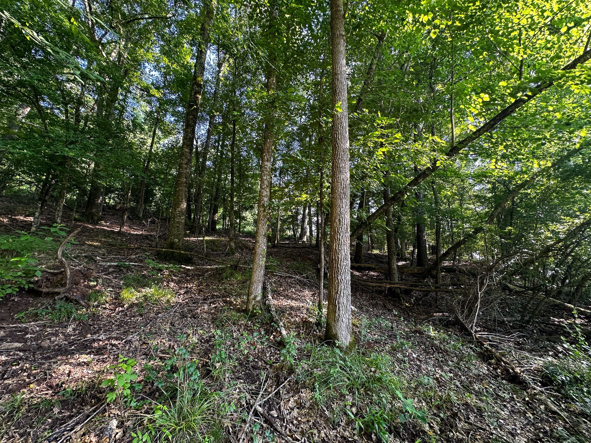 000 Highway 7 Property Photo 30