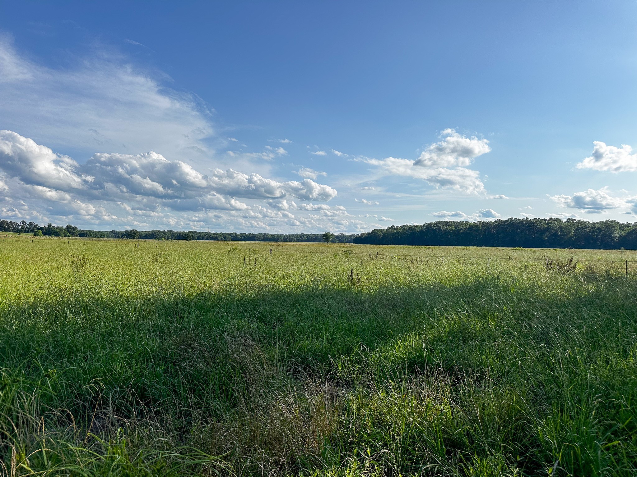 000 Highway 7 Property Photo 31