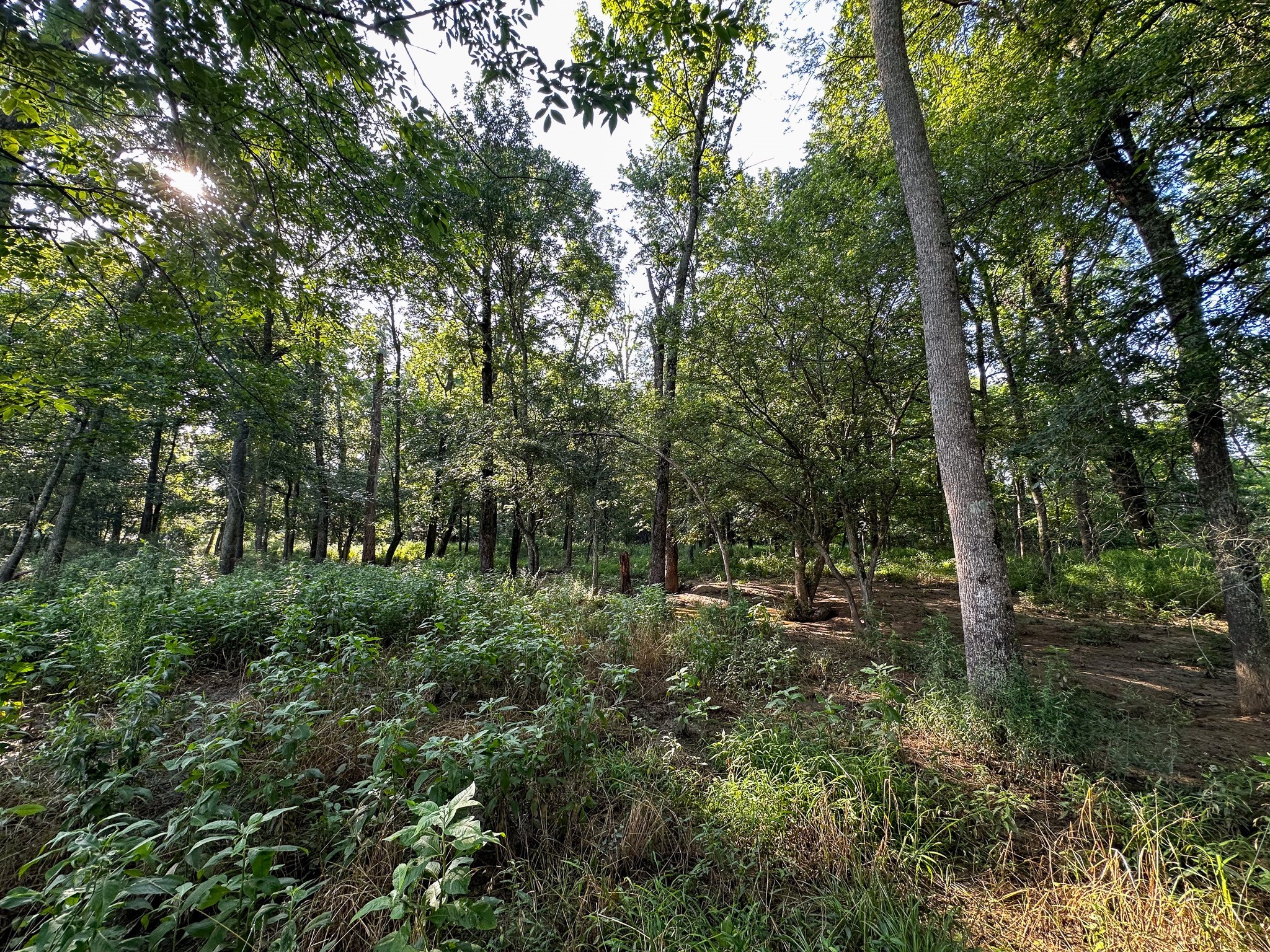 000 Highway 7 Property Photo 32