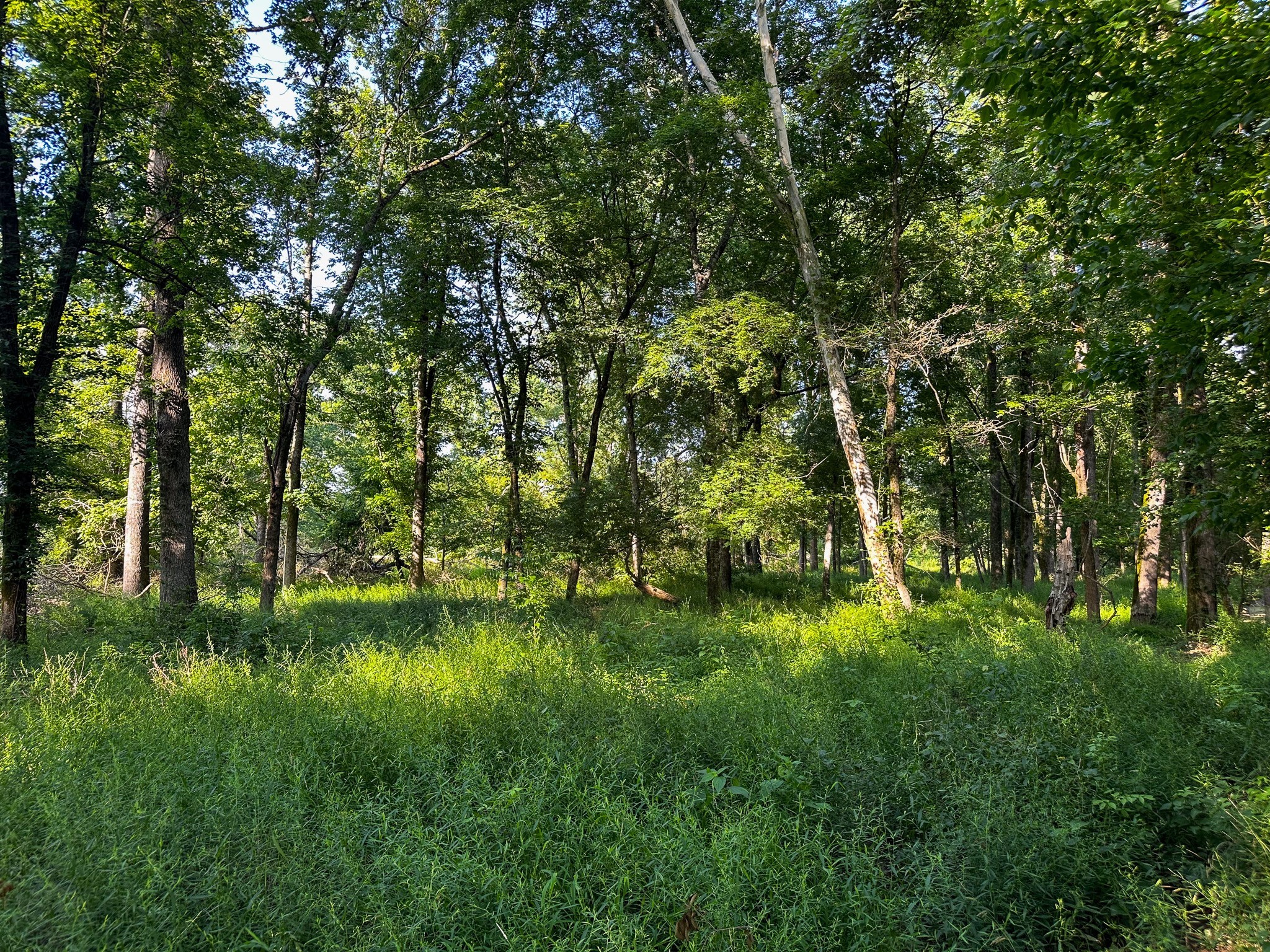 000 Highway 7 Property Photo 33