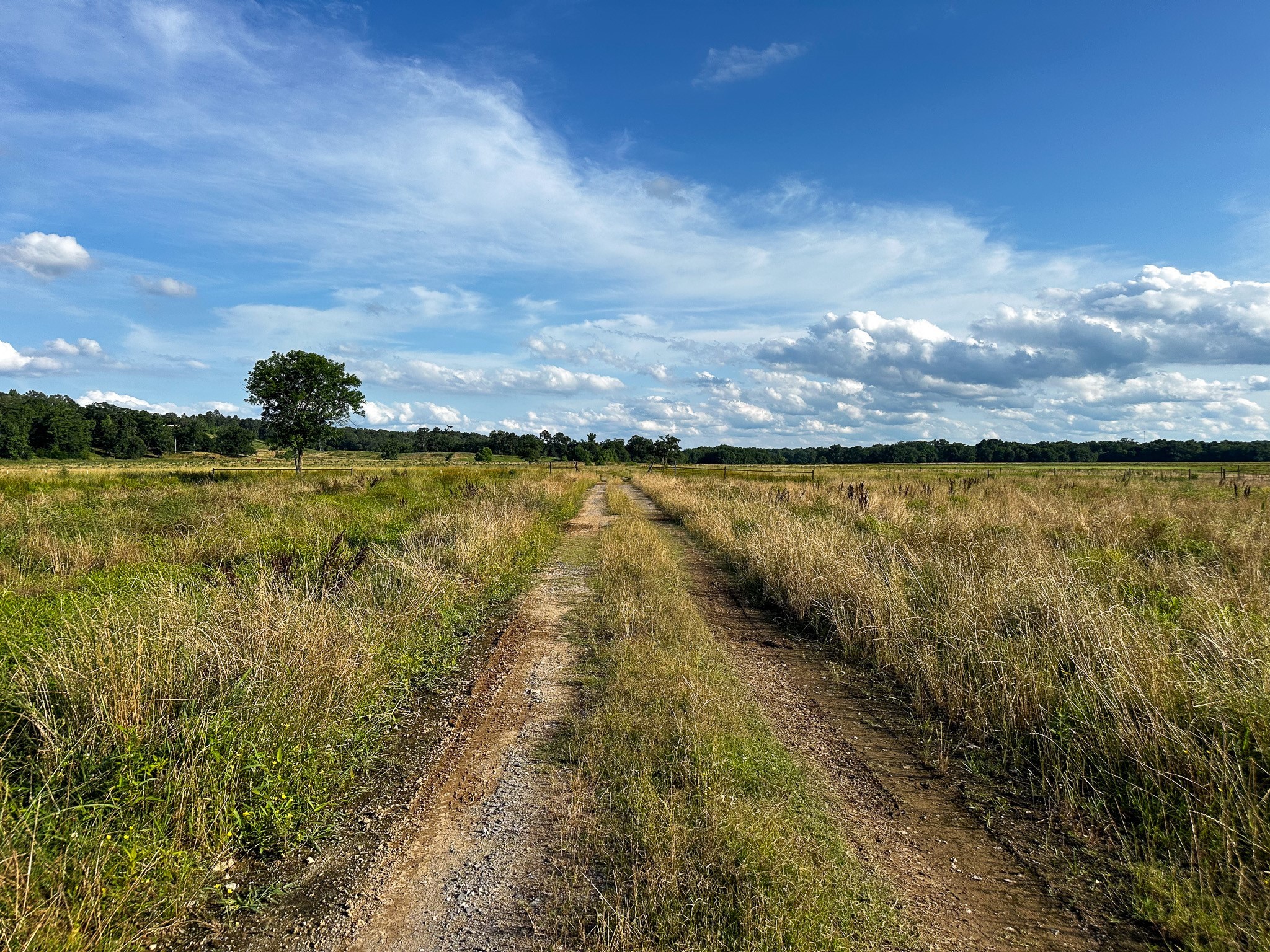 000 Highway 7 Property Photo 34