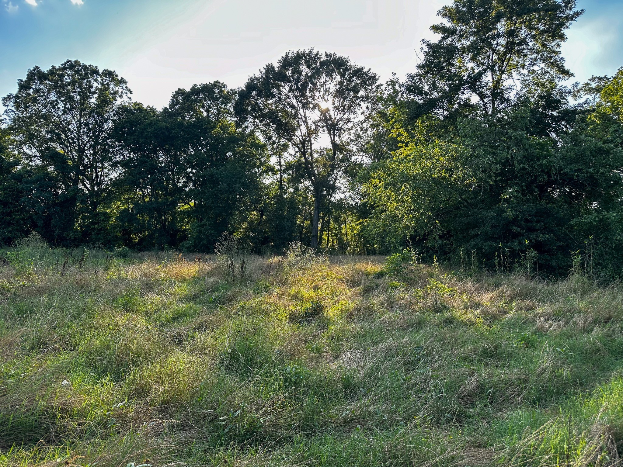 000 Highway 7 Property Photo 36