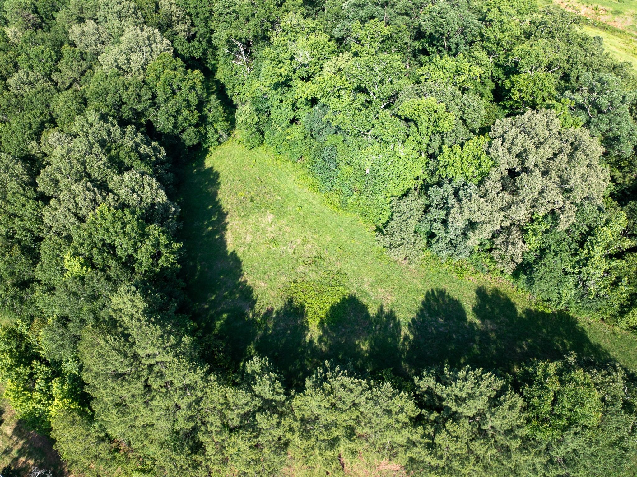 000 Highway 7 Property Photo 39
