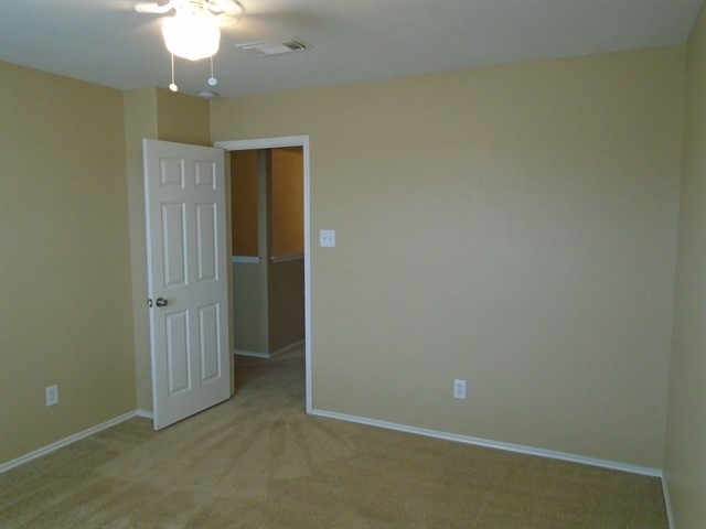 2507 Feather Green Trail Property Photo 8