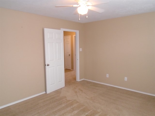 2507 Feather Green Trail Property Photo 9