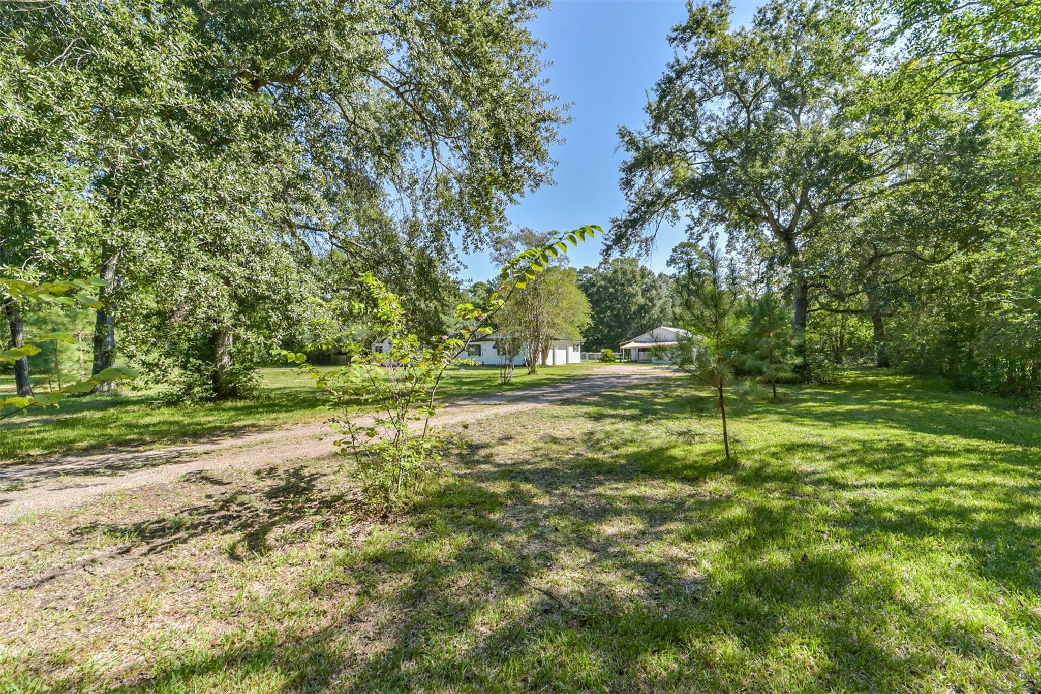 11606 Glenora Drive, Houston Tx 77065 Property Photo 4