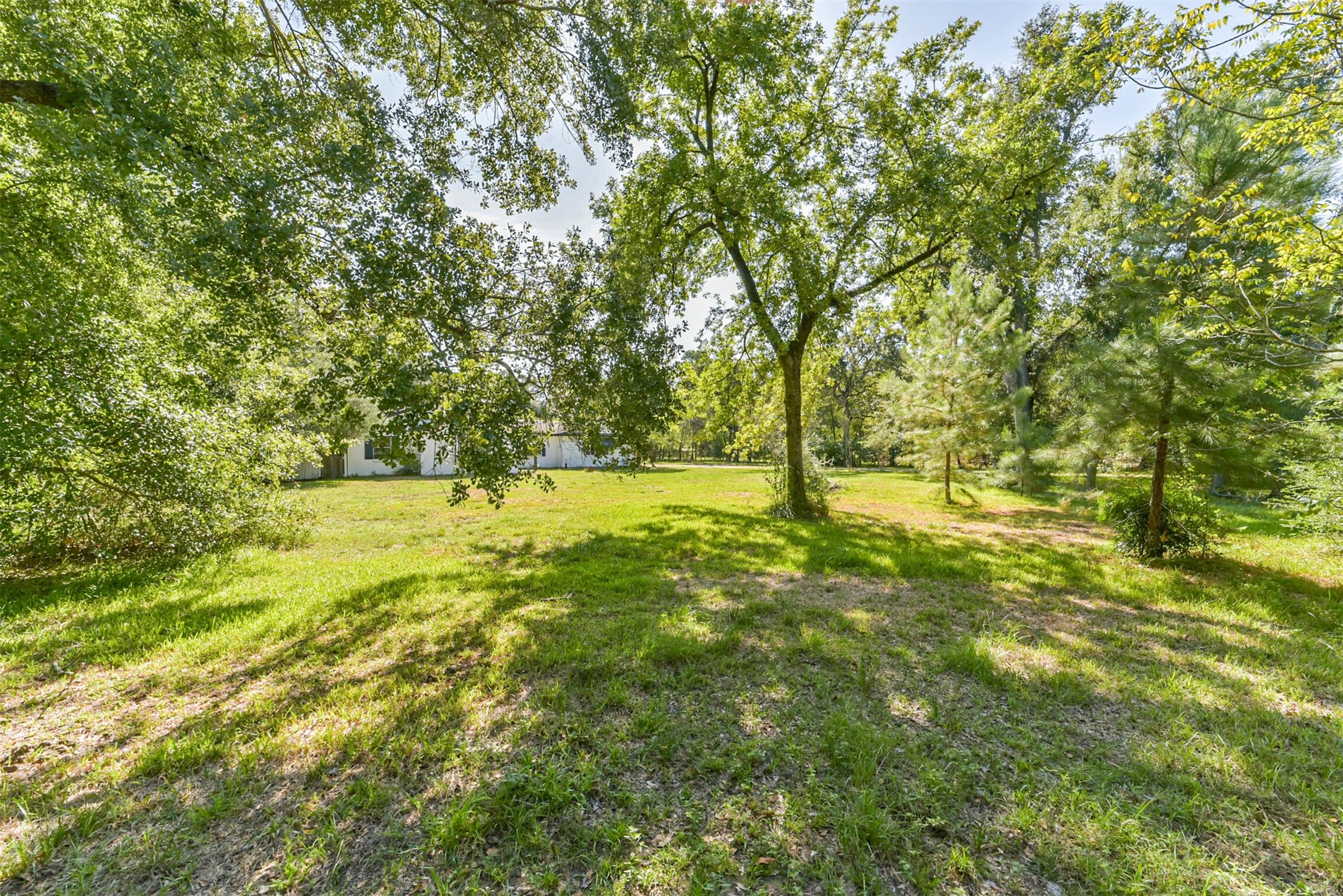 11606 Glenora Drive Property Photo 5