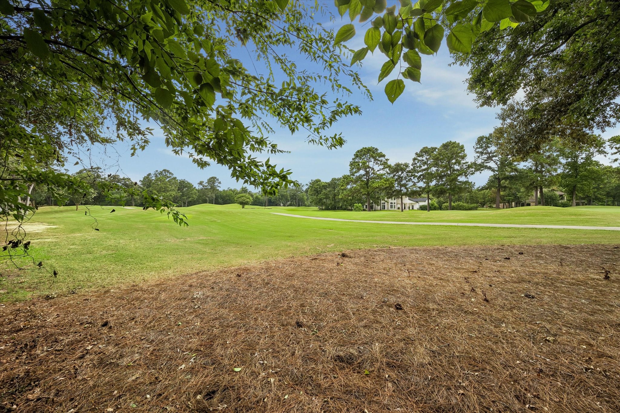 48 Autumn Crescent Property Photo 50