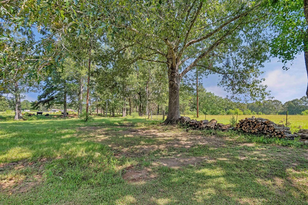 249 Cr 350 Property Photo 5