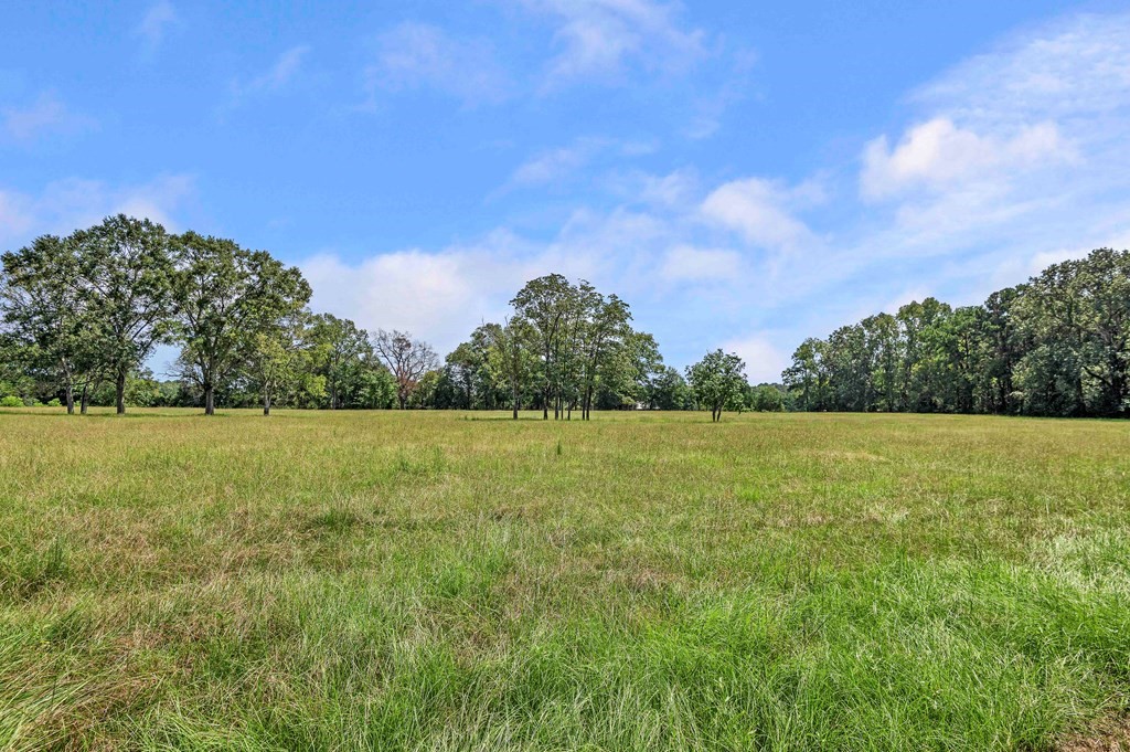 249 Cr 350 Property Photo 31