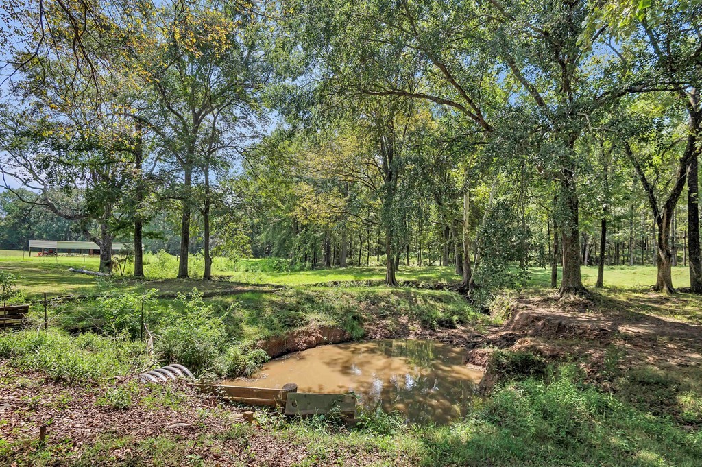 249 Cr 350 Property Photo 33