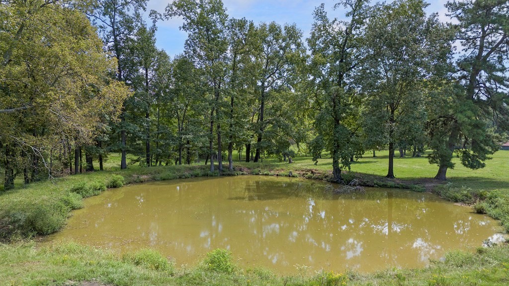 249 Cr 350 Property Photo 39