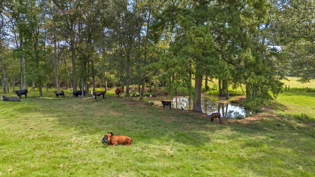 249 Cr 350 Property Photo 41