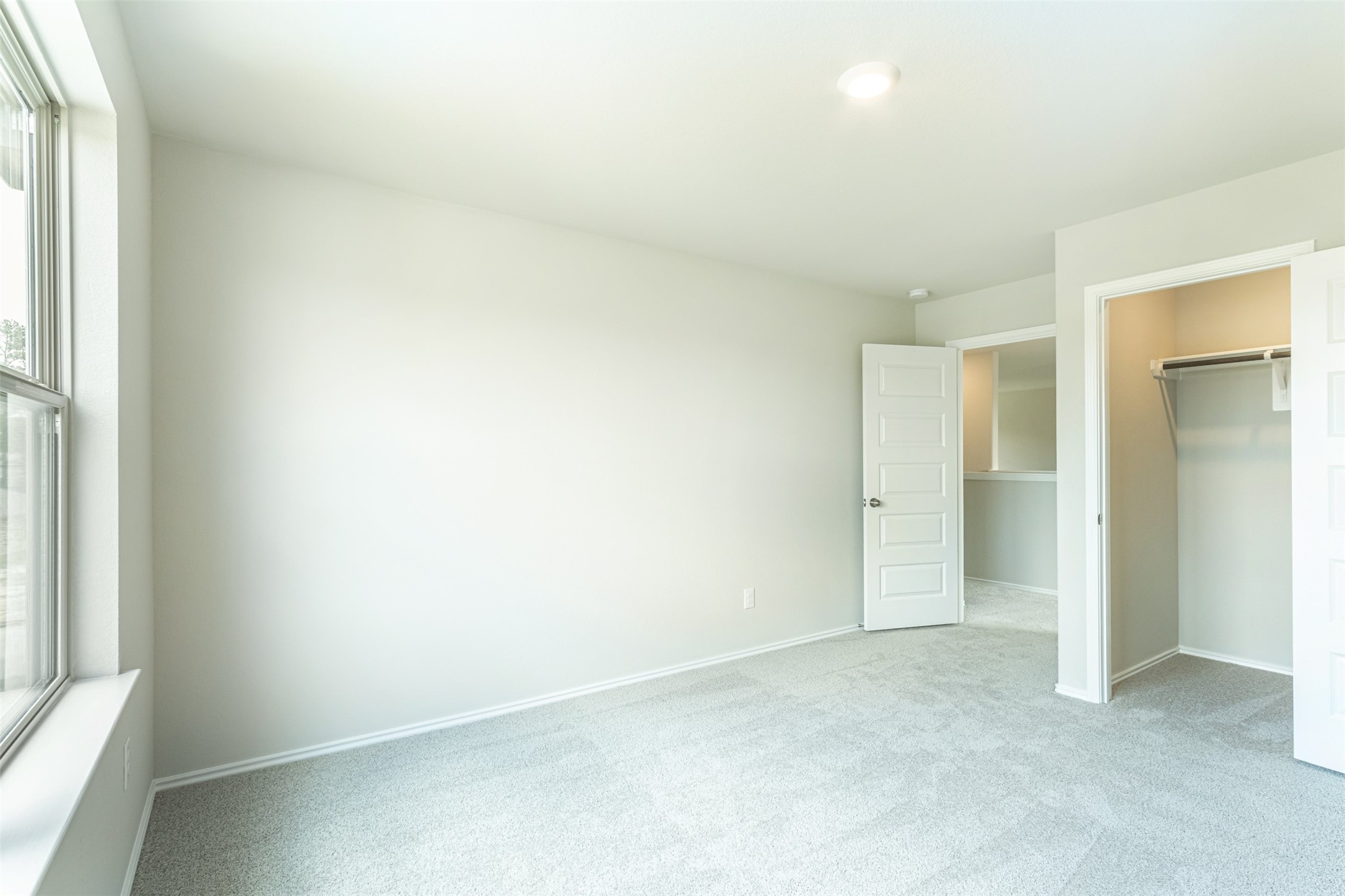 8205 Red Spruce St Property Photo 34