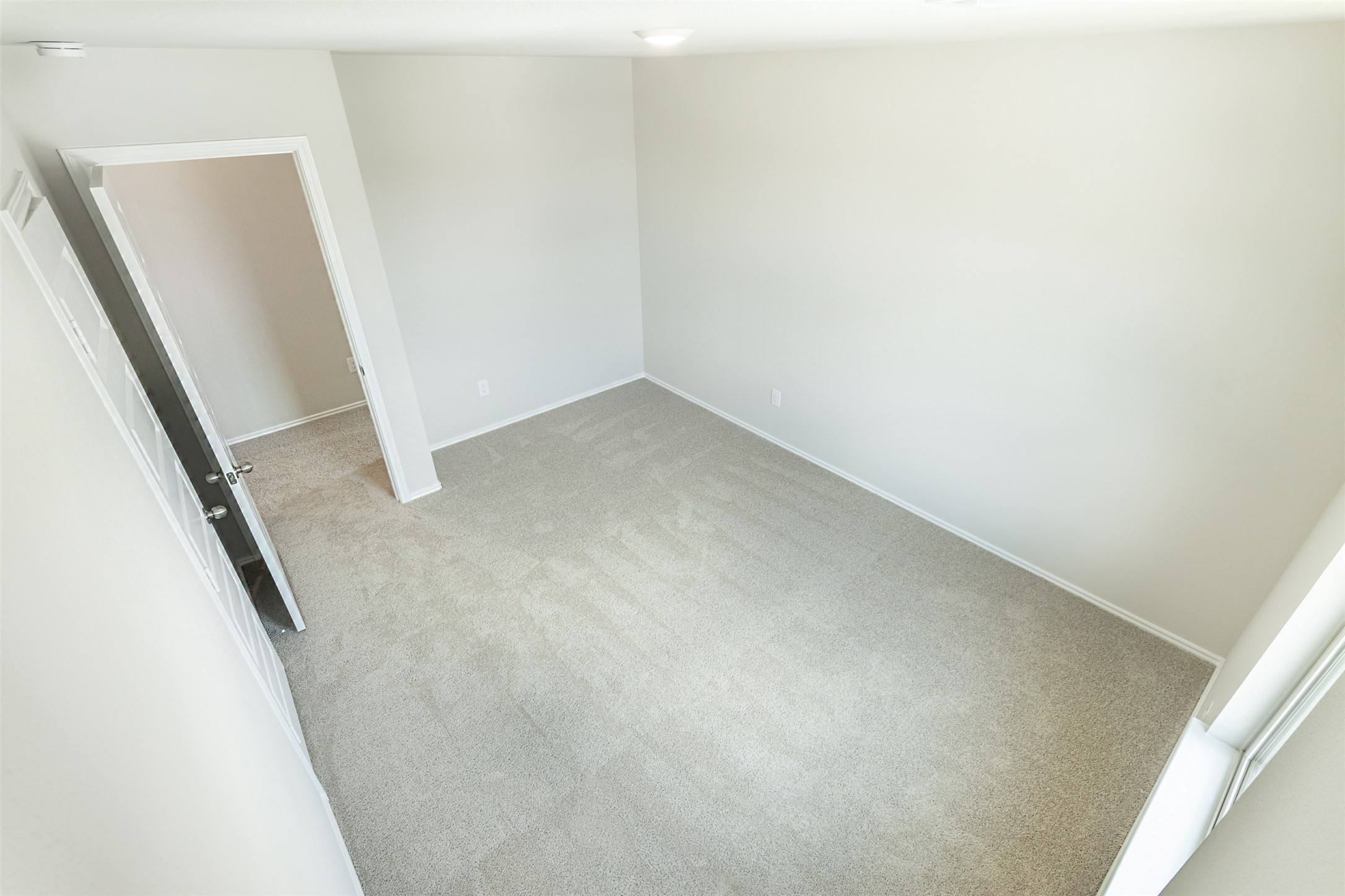 8205 Red Spruce St Property Photo 38