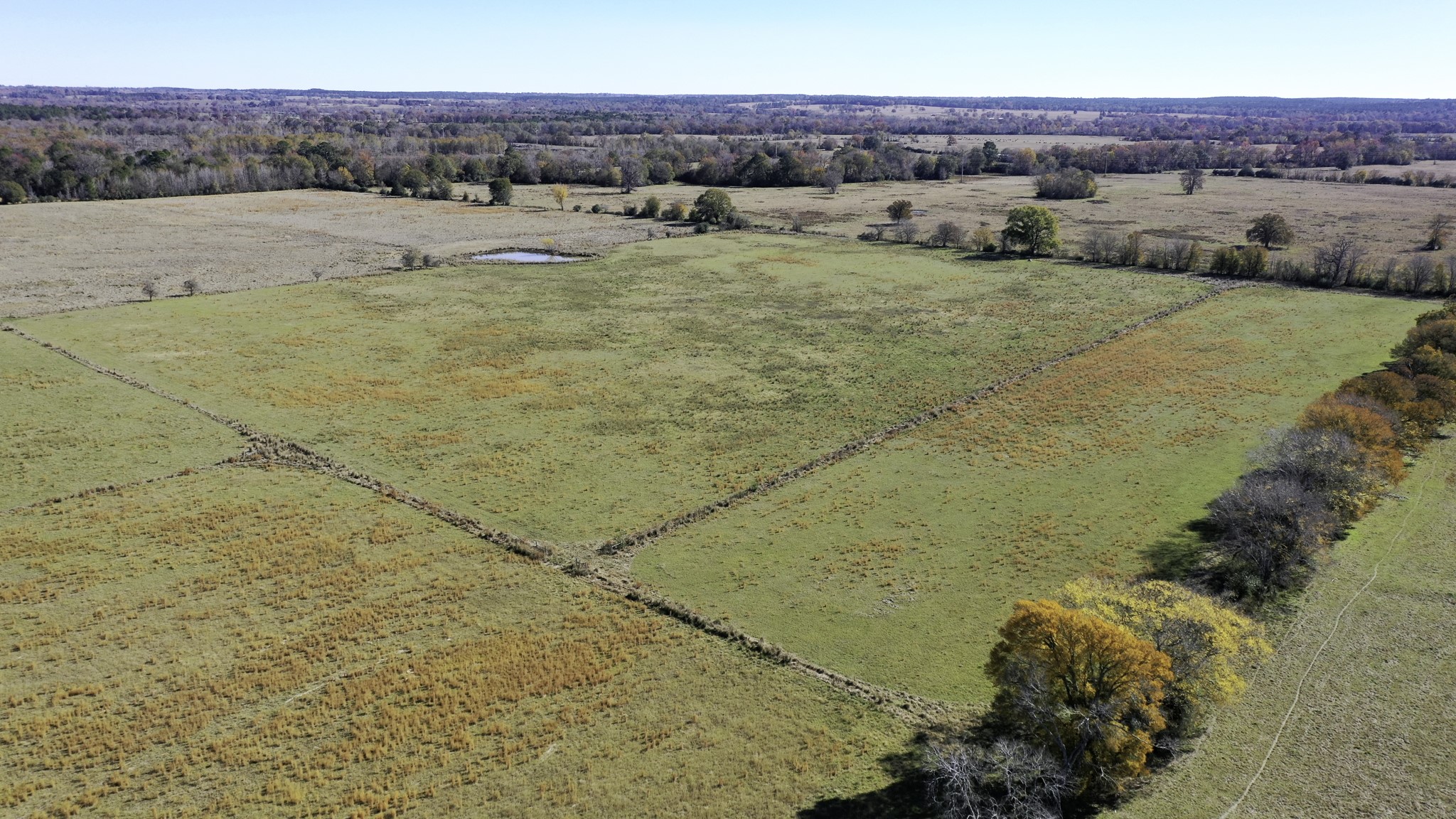 596 & 634 County Road 3057 Property Photo 22