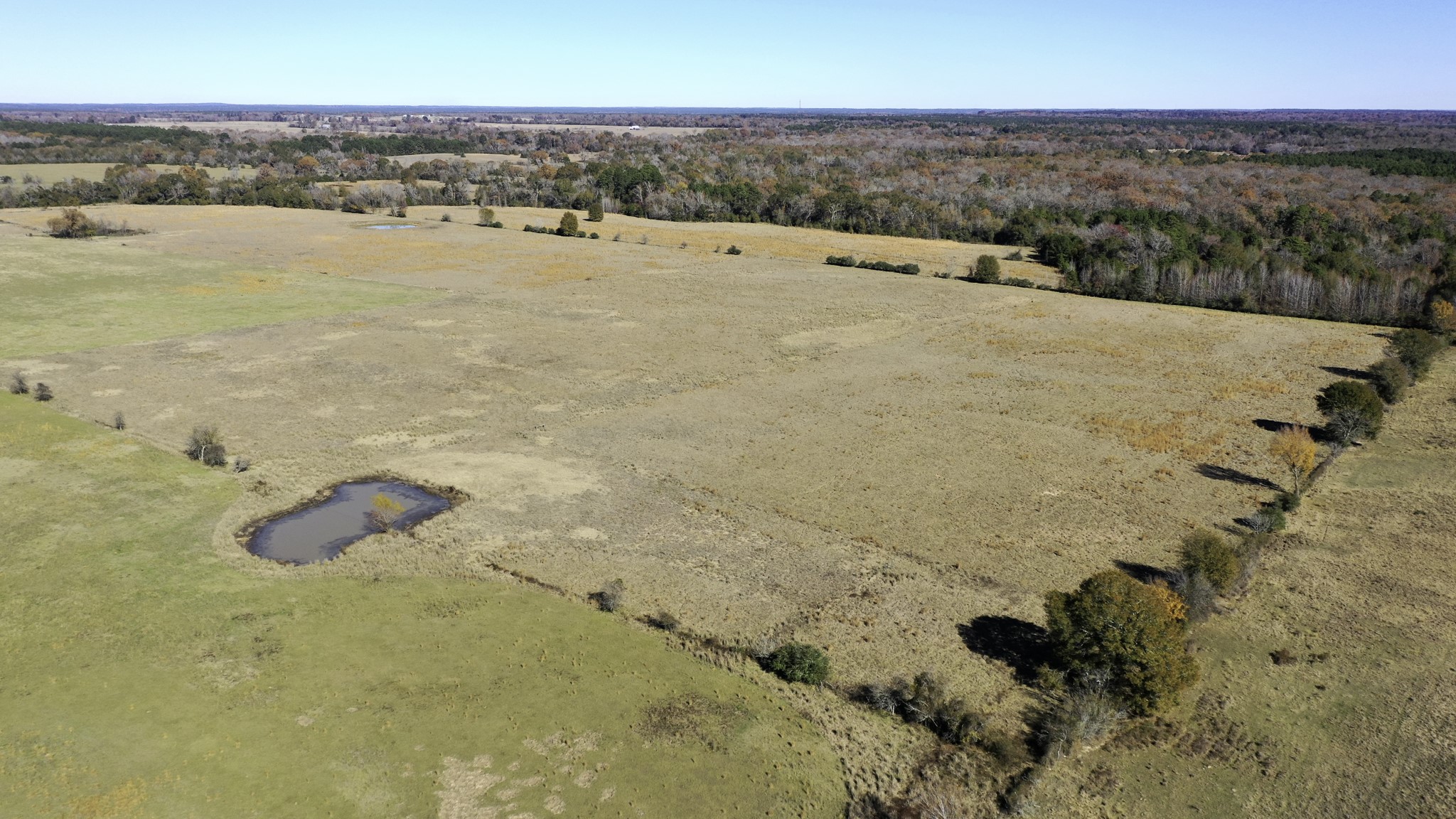596 & 634 County Road 3057 Property Photo 27