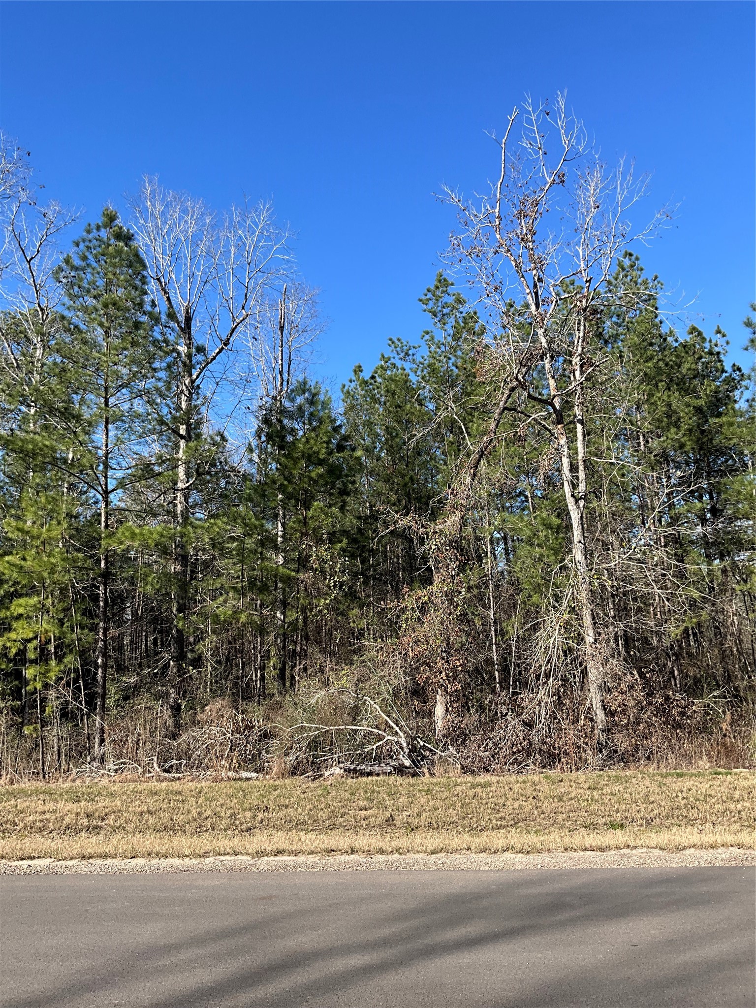 175 Exploration Road Property Photo 1