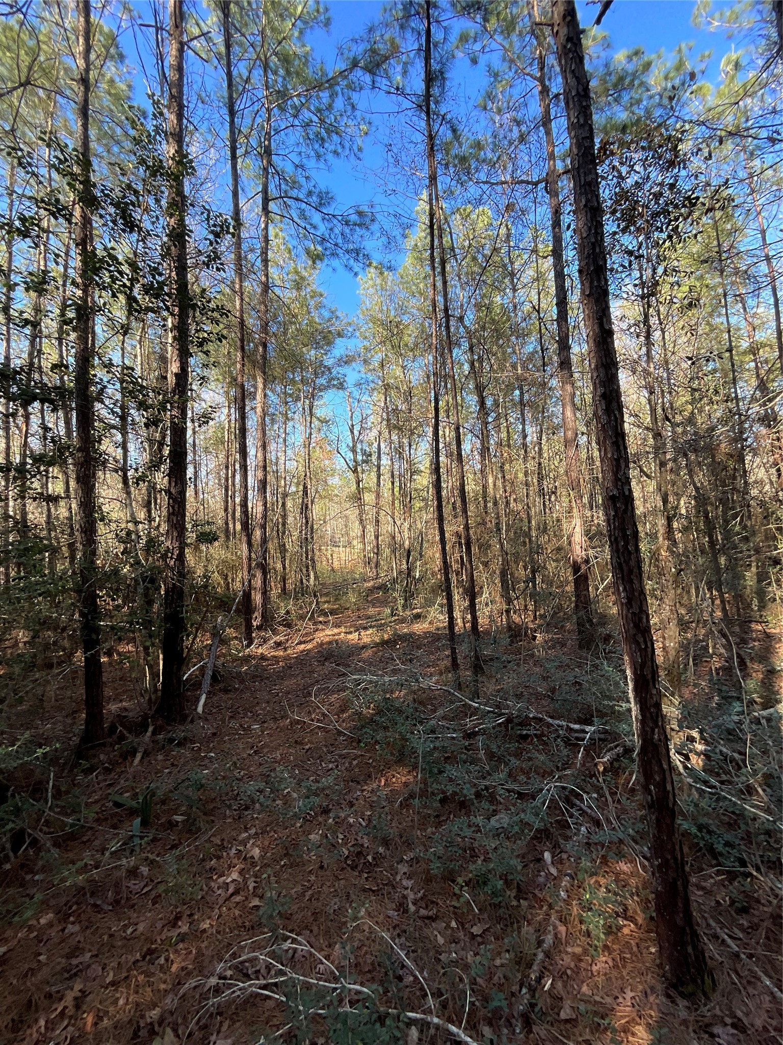 175 Exploration Road Property Photo 2
