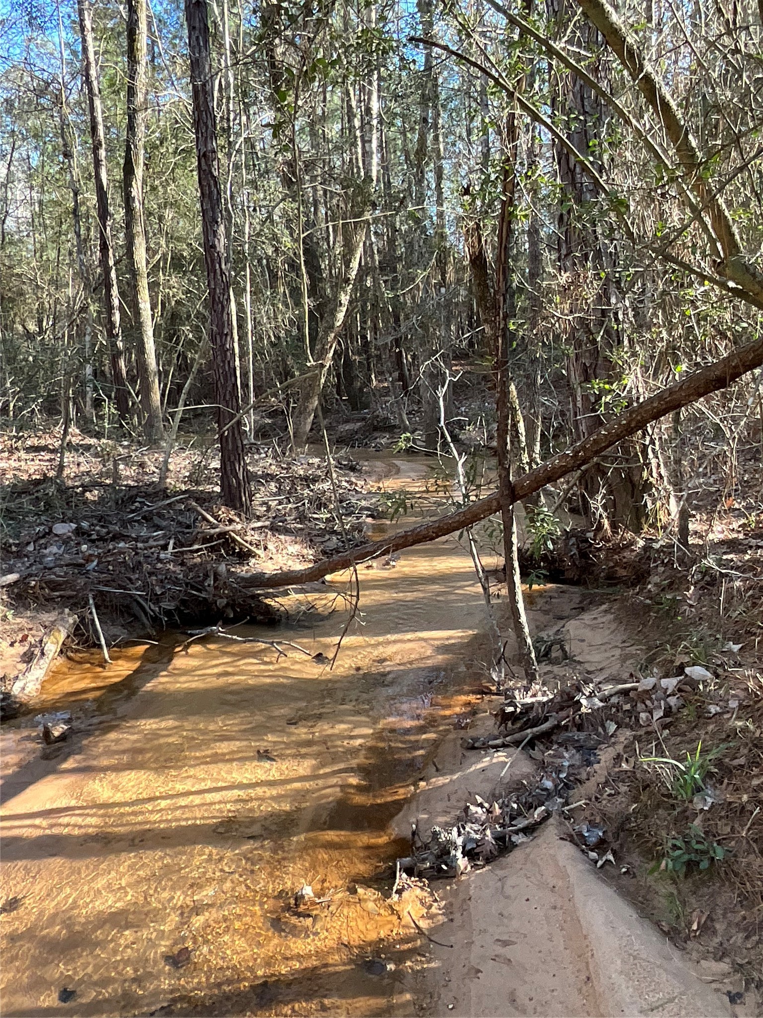 175 Exploration Road Property Photo 3
