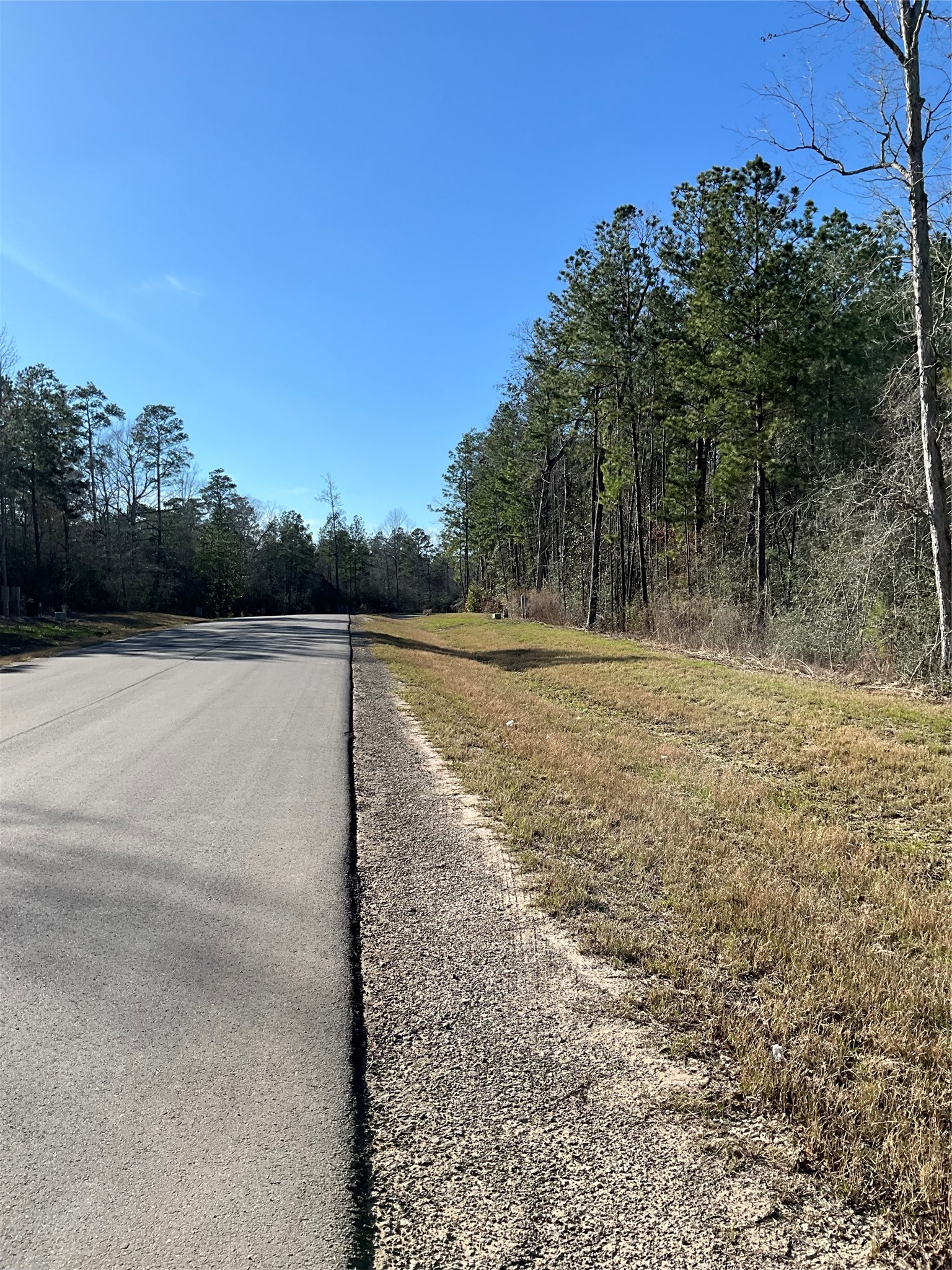 175 Exploration Road Property Photo 5
