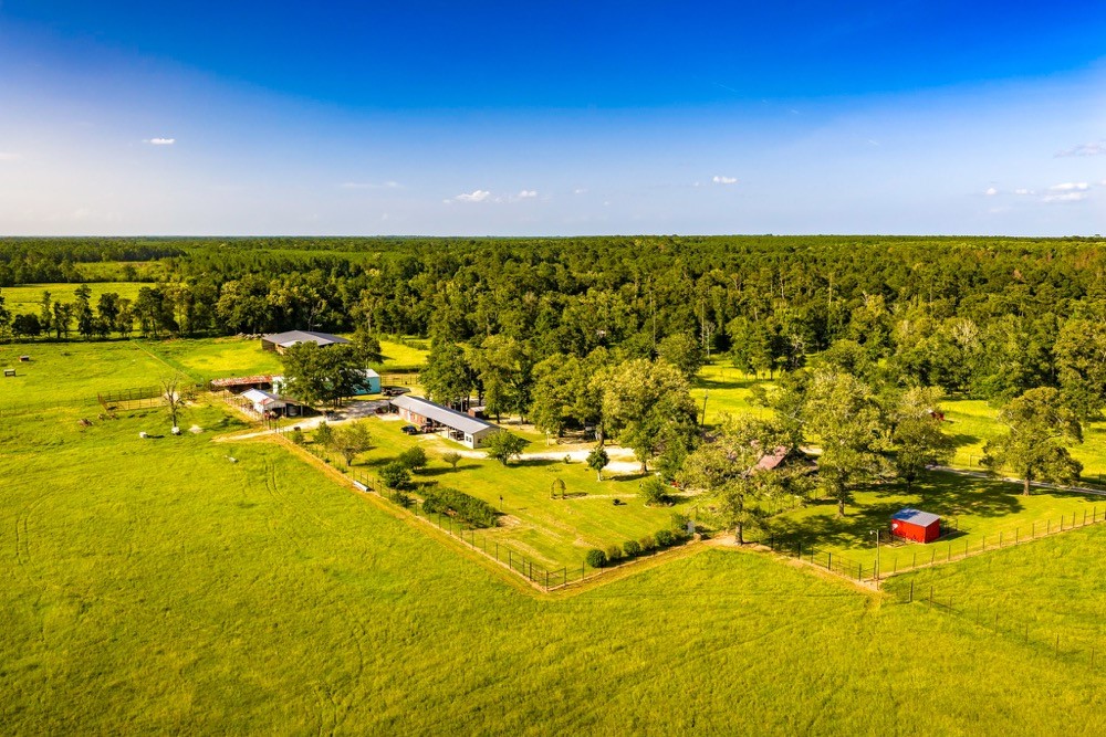 1017 County Road 4650