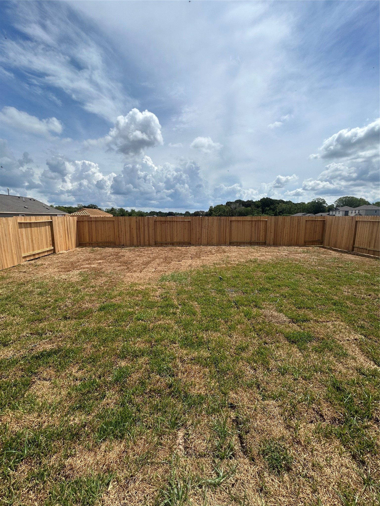 907 Constitution Drive Property Photo 33