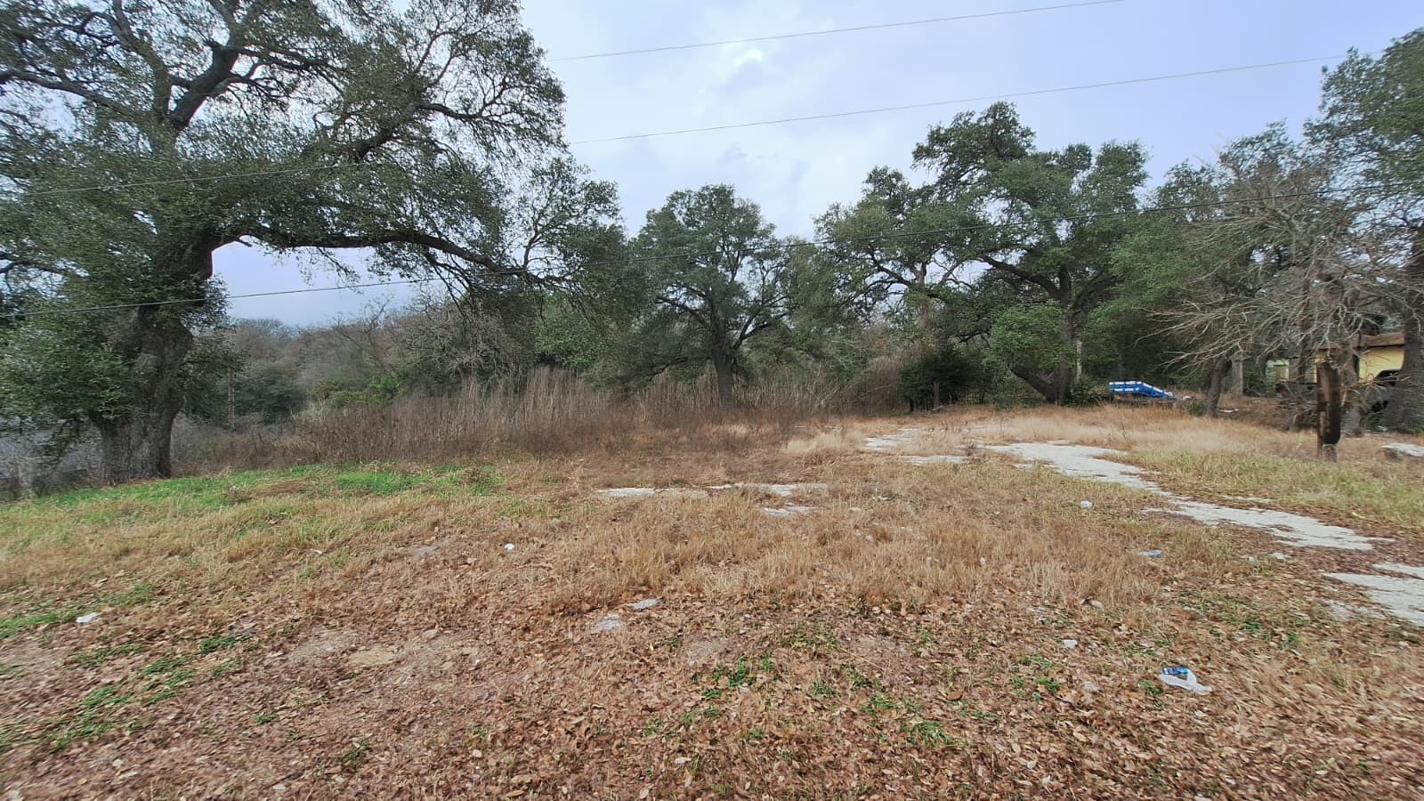 109 Folz Street Property Photo 3