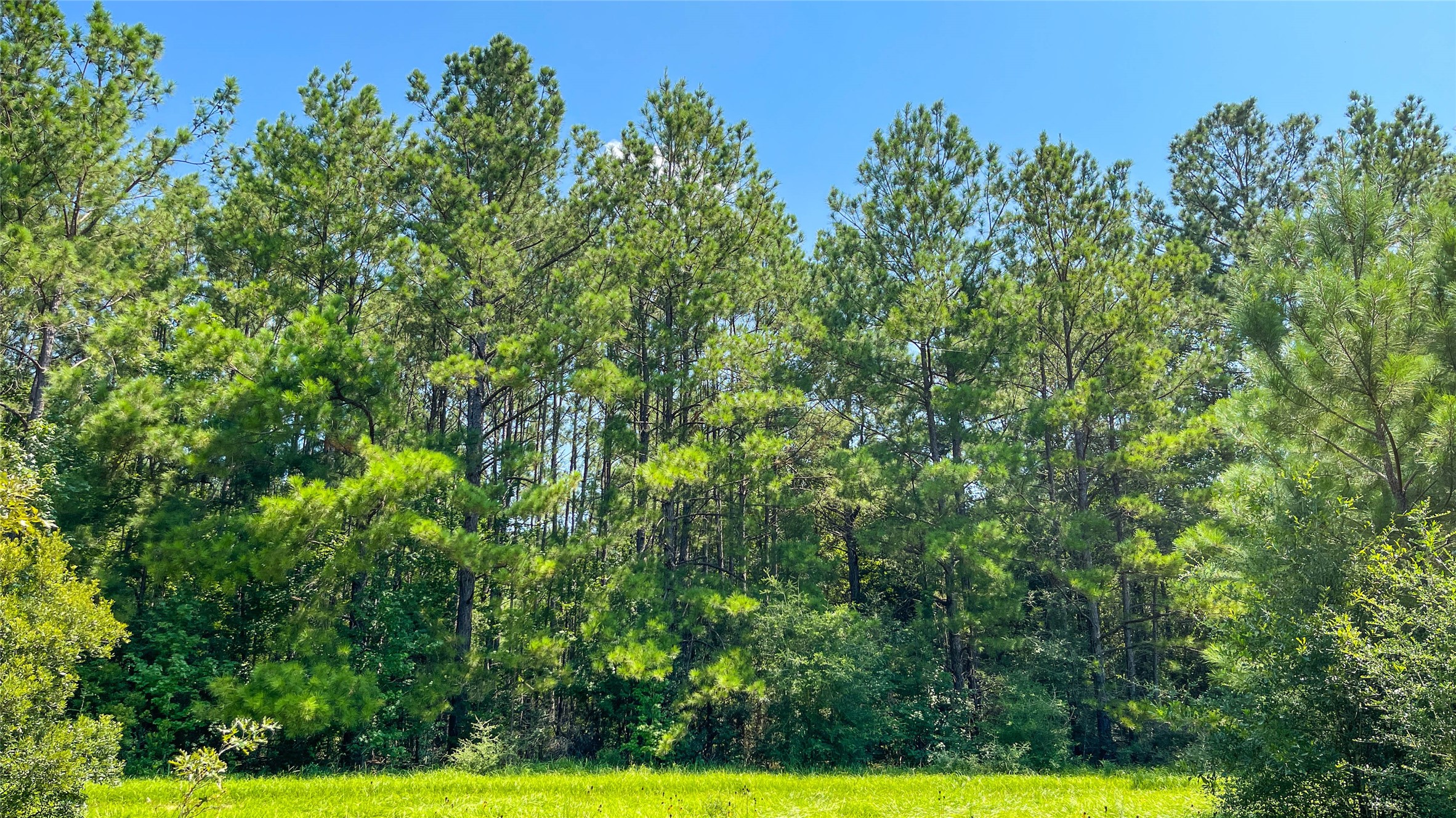 1 Tbd County Road 3064 Property Photo
