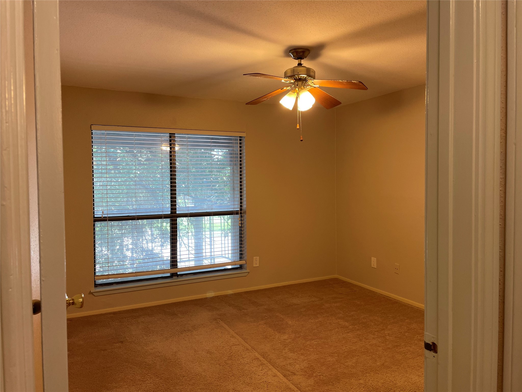 7950 N Stadium Drive 210 Property Photo 12