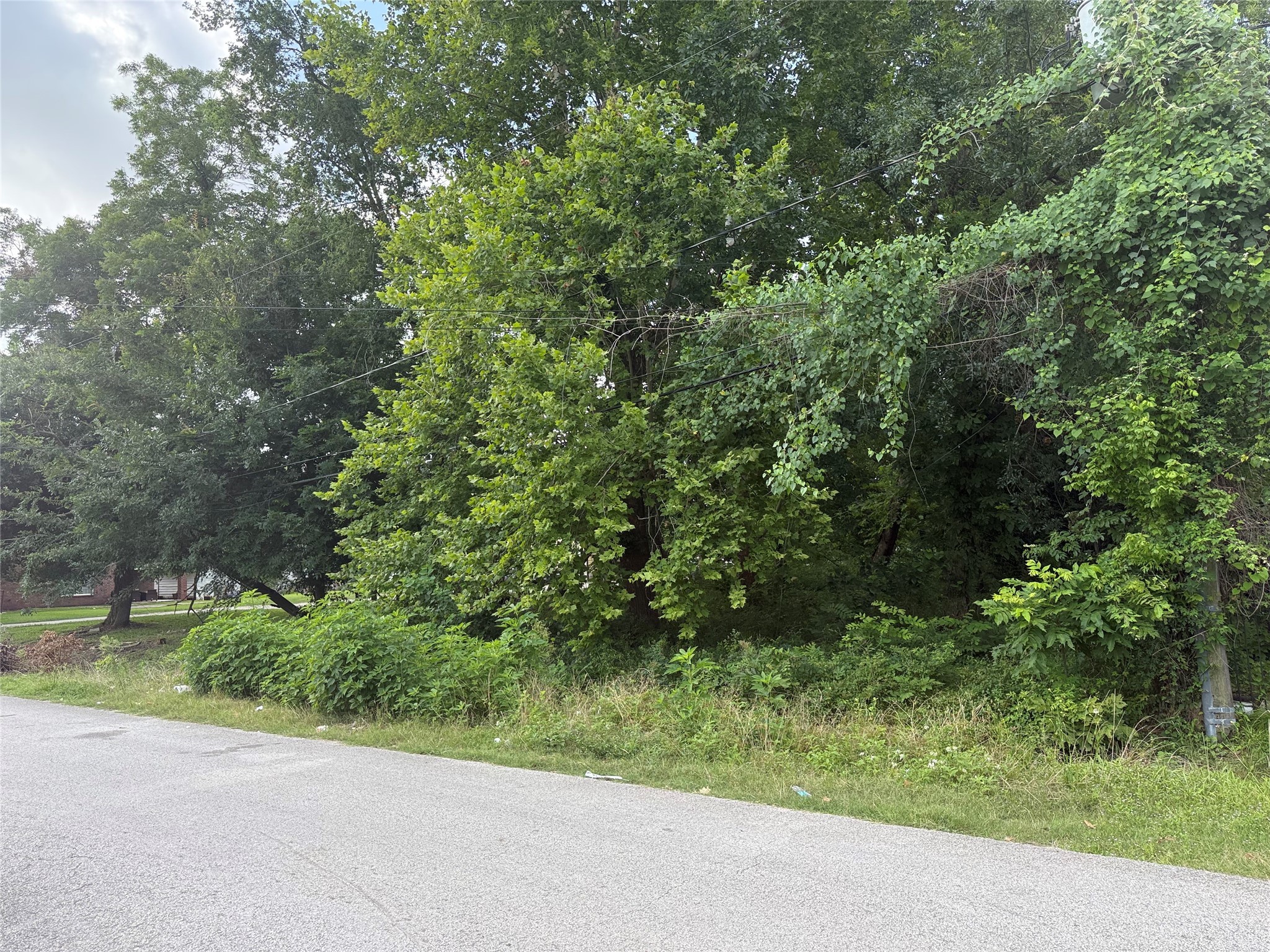 943 Wall Street Property Photo 4