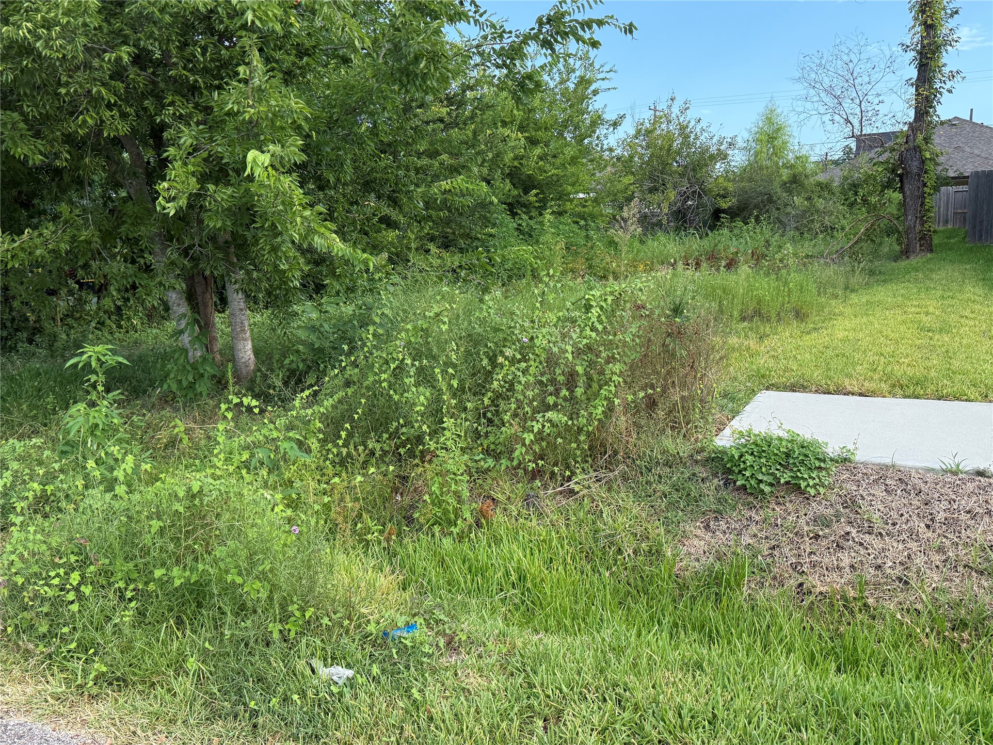 7949 Angus Street Property Photo 1