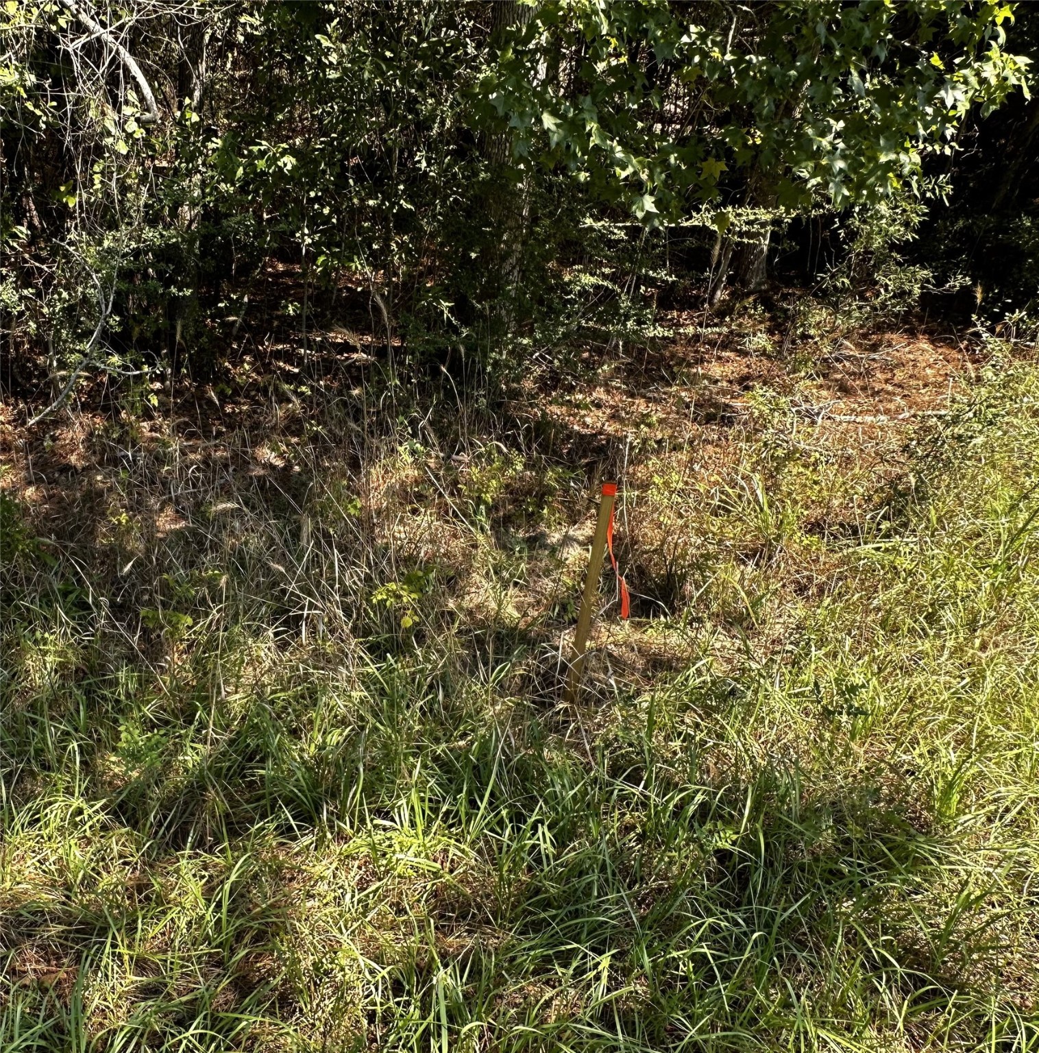 000 Hwy 87 Property Photo 1