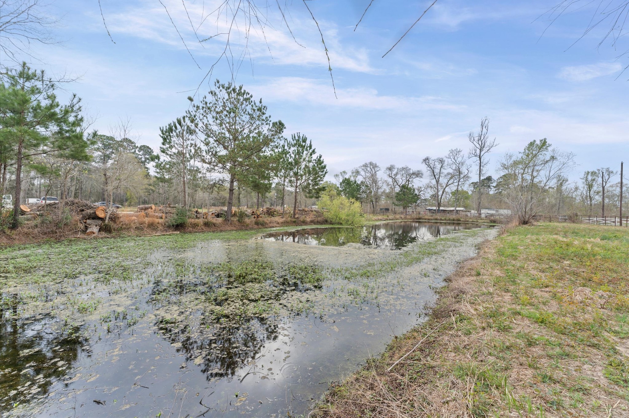 16851 Payne Road Property Photo 6