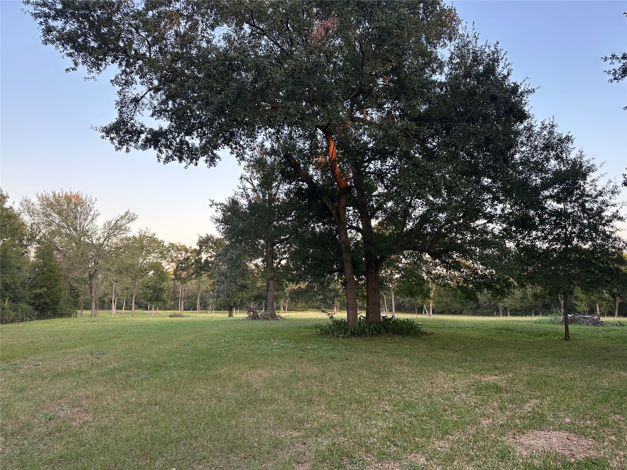 612 Worsham Street Property Photo 2