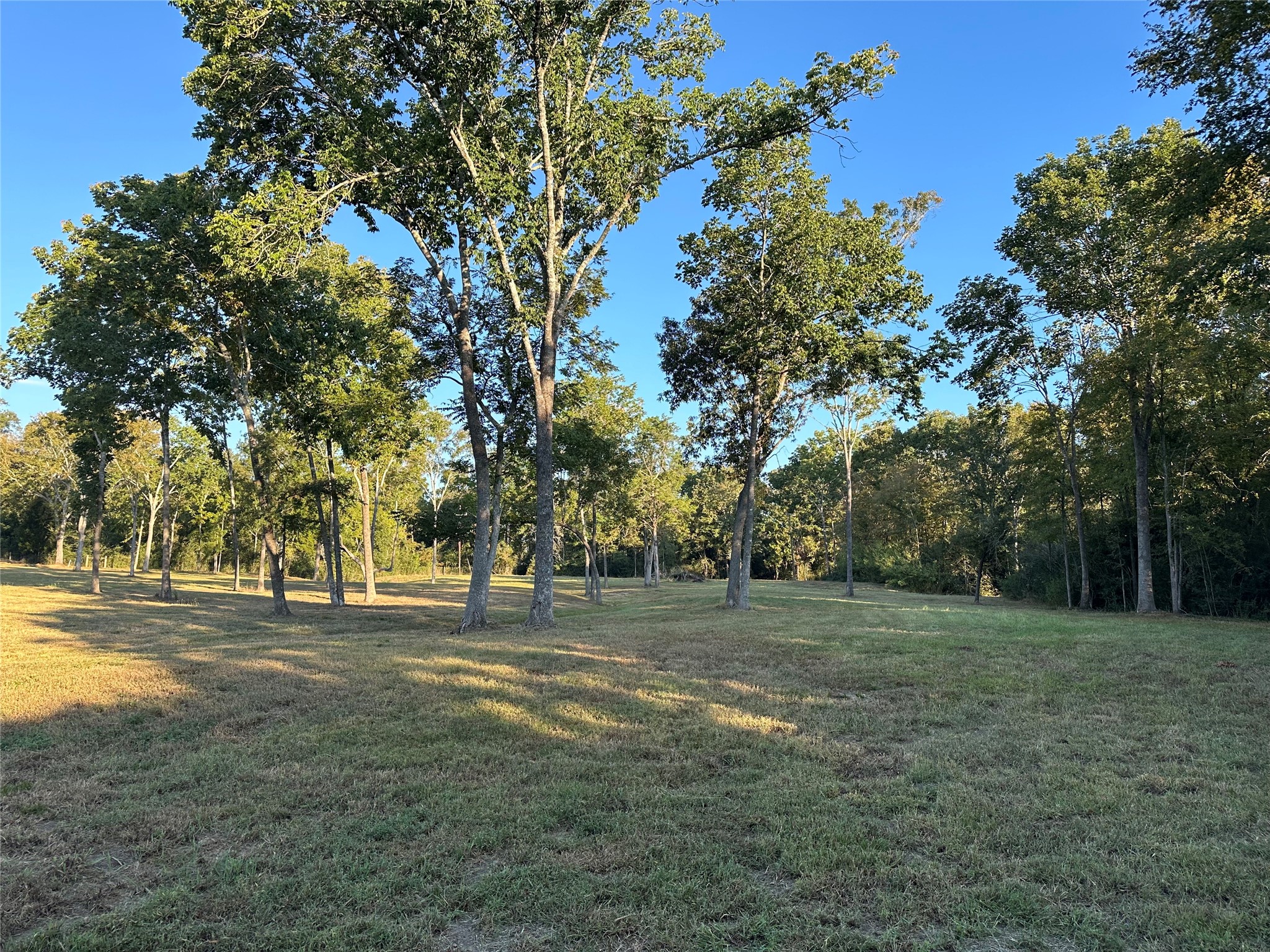 612 Worsham Street Property Photo 4