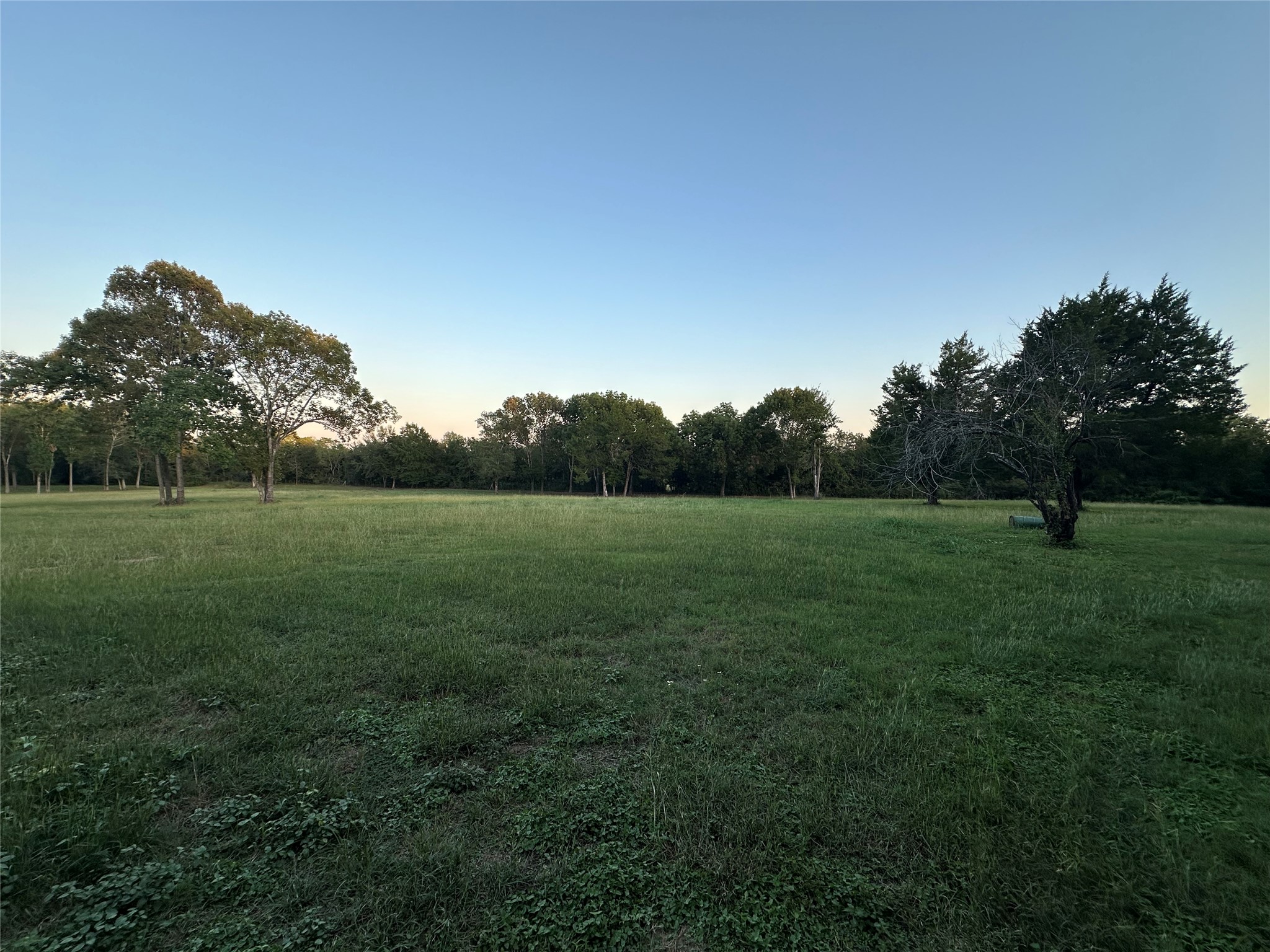 612 Worsham Street Property Photo 6