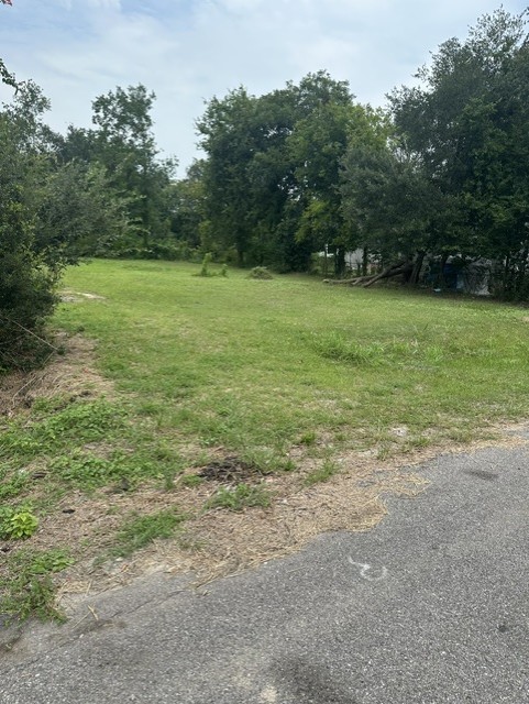 4419 Mayflower Street Property Photo 1