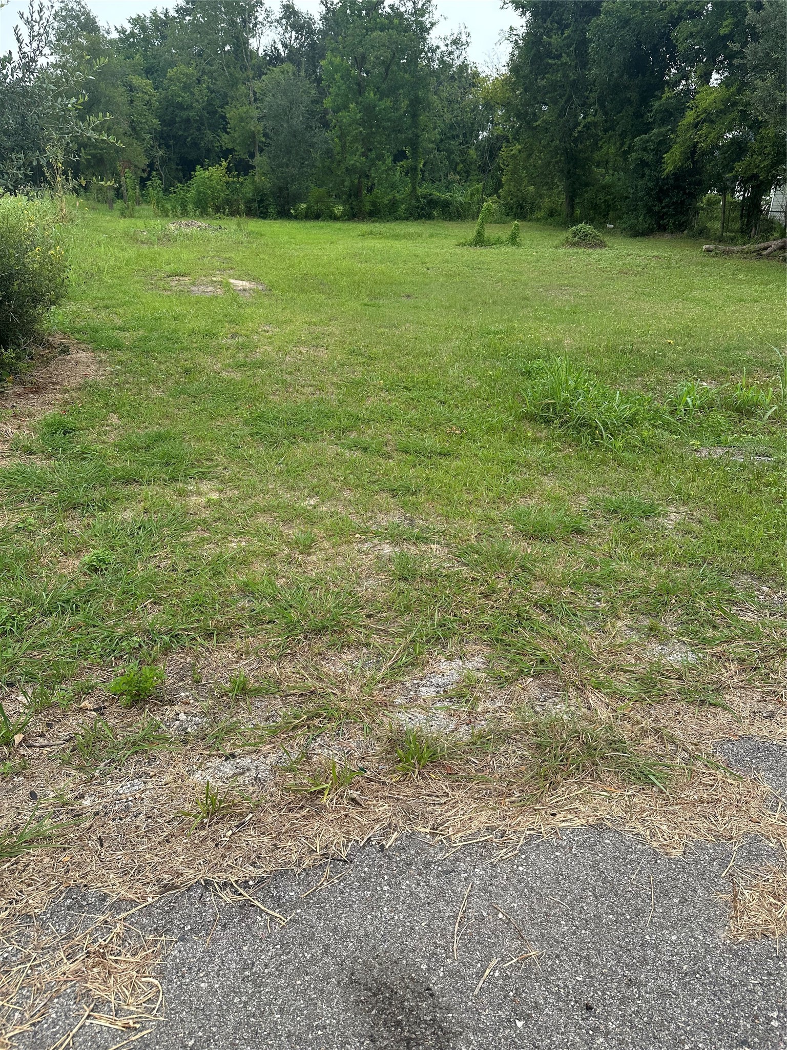 4419 Mayflower Street Property Photo 2