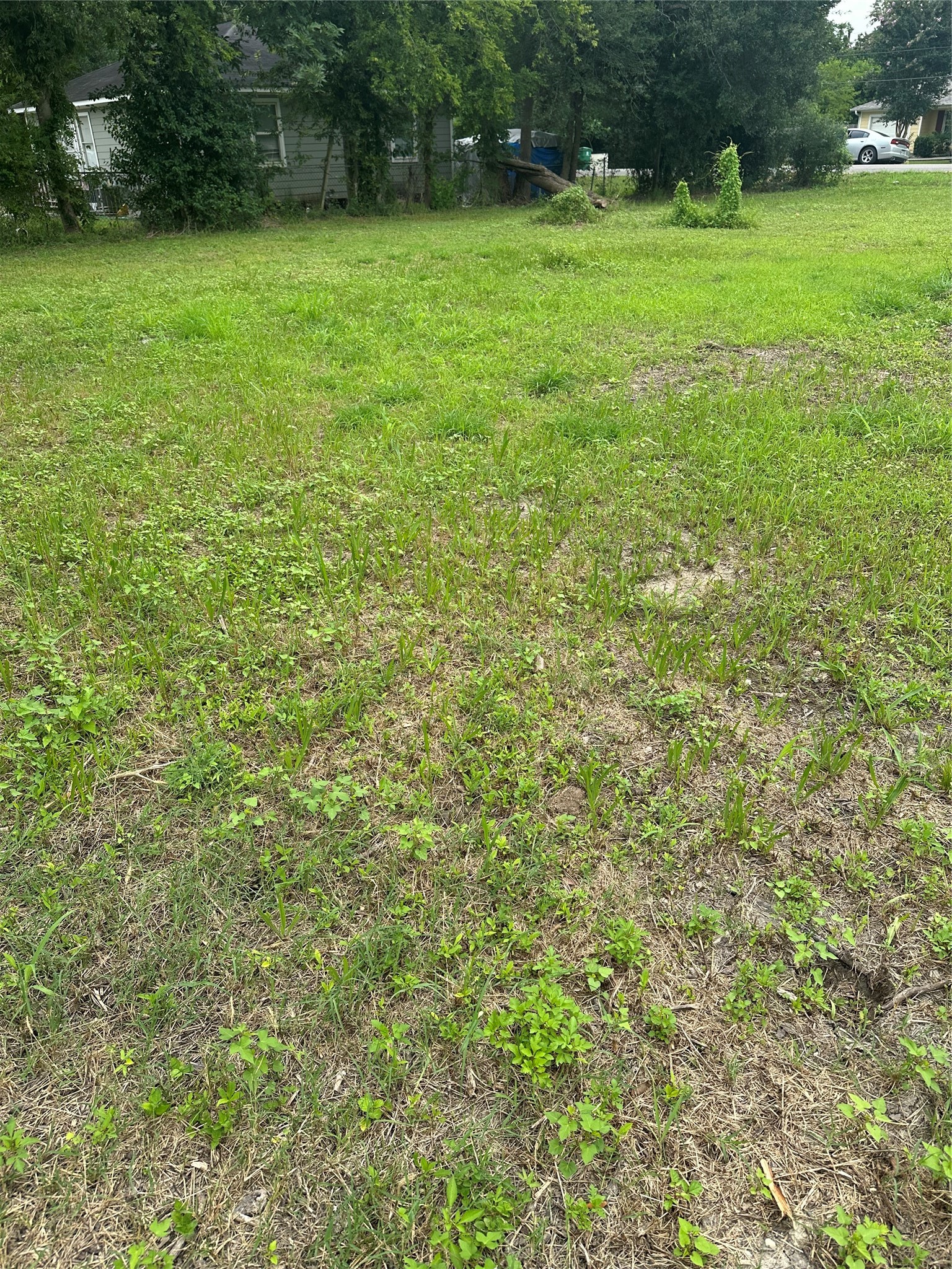 4419 Mayflower Street Property Photo 4