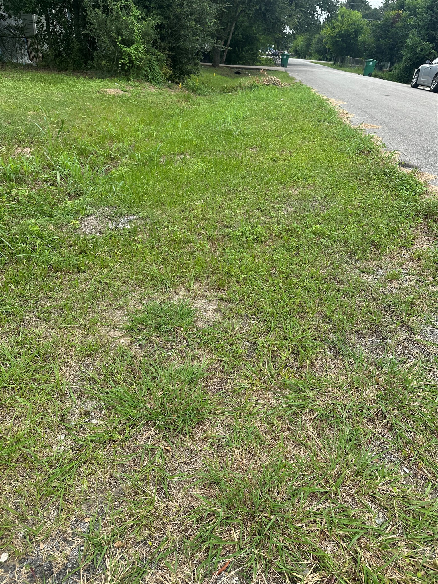 4419 Mayflower Street Property Photo 5