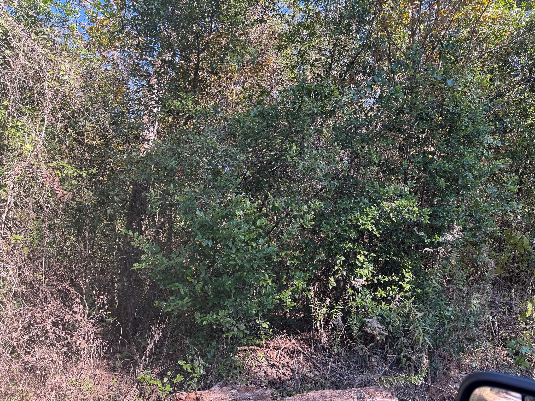 Tbd Lakeview Lane Property Photo 5