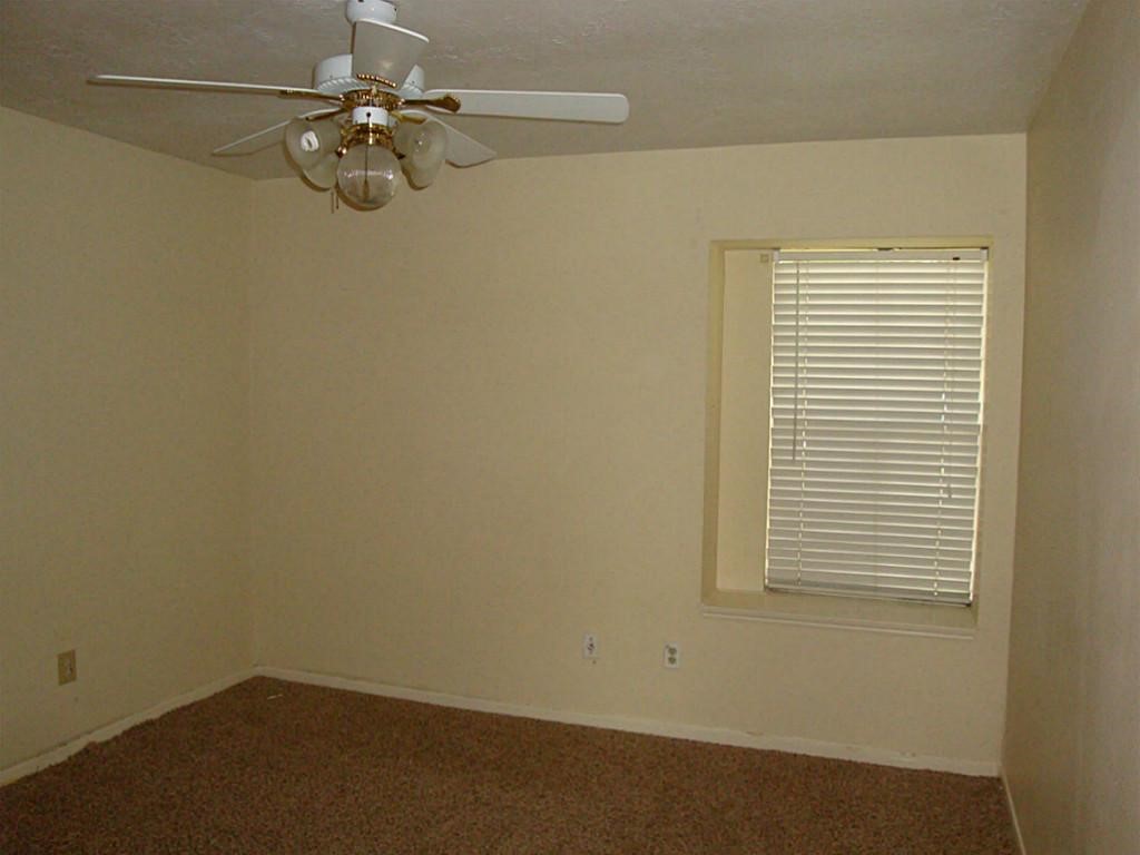 6806 Caddo Lake Lane Property Photo 10
