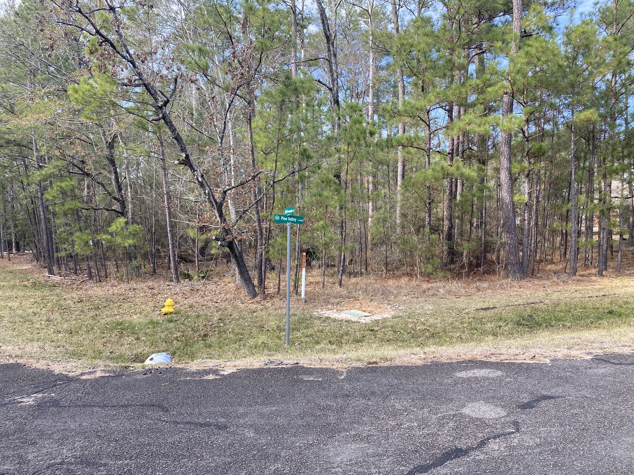 24418 Gleneagles Property Photo 2