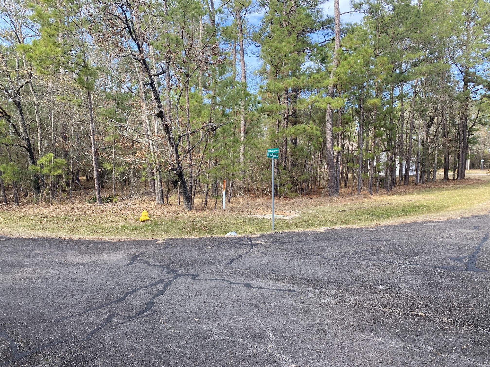 24418 Gleneagles Property Photo 3